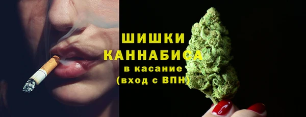 стаф Медногорск