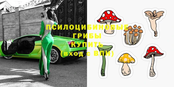 ALPHA PVP Мегион