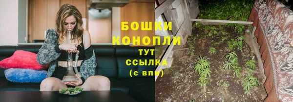 соль ск Медвежьегорск