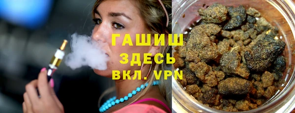стаф Медногорск
