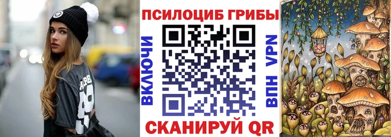 Псилоцибиновые грибы Magic Shrooms  где продают   Шагонар 