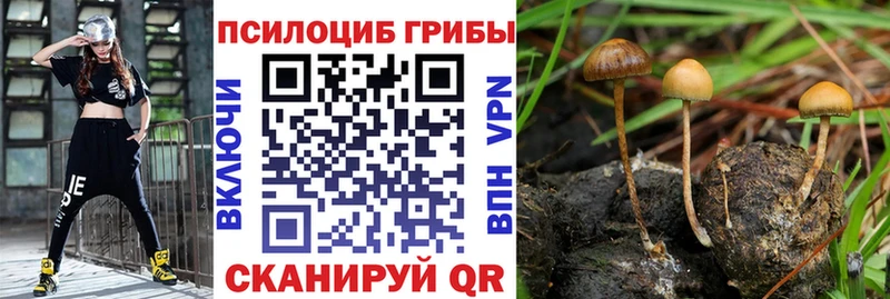 Галлюциногенные грибы Magic Shrooms Шагонар